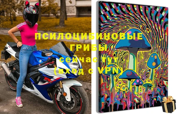 герыч Бородино